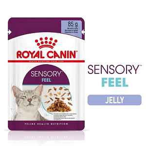 Royal Canin Sensory Feel - vlhké krmivo v želé pro dospělé kočky 12 x 85 g