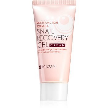 Mizon Multi Function Formula  pleťový gel s hlemýždím extraktem 45 ml