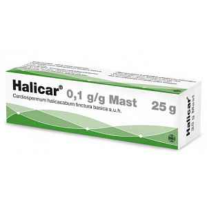 Halicar dermální mast 1 x 25 g