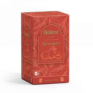 Biogena Traditional Broskev porcovaný ovocný čaj 20x2 g