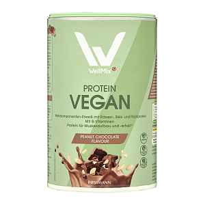 WellMix Protein oříškovo-čokoládový 300 g
