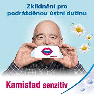 KAMISTAD SENZITIV 1X10GM Ústní gel