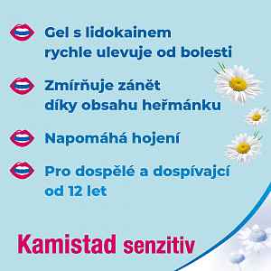 KAMISTAD SENZITIV 1X10GM Ústní gel