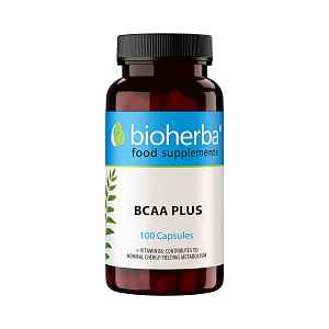 BCAA Plus – 100 kapslí – Bioherba