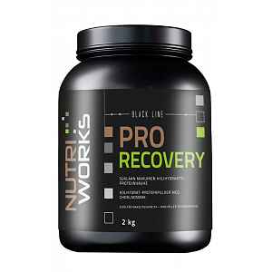 NutriWorks Pro Recovery čokoláda 2kg