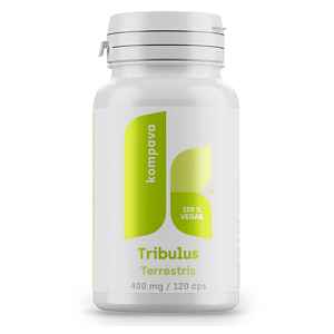 Tribulus terrestris 400 mg 120 kapslí