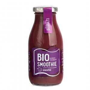 Rudolfs Smoothie Borůvka jahoda BIO 260 ml