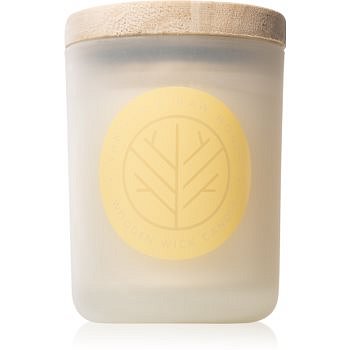 DW Home Vanilla & Raw Honey vonná svíčka s dřevěným knotem 107,73 g