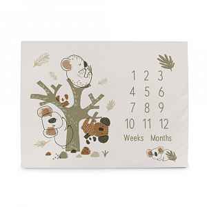 Ceba Podložka milníková na focení (92x72) Basic Koala