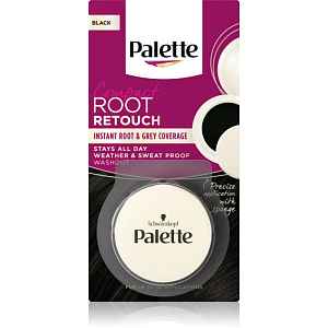 Schwarzkopf Palette Compact Root Retouch vlasový korektor odrostů a šedin s pudrovým efektem odstín Černý 3 g