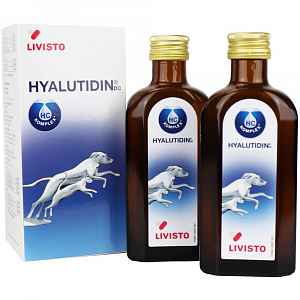 GRAMME-REVIT Hyalutidin DC AKTIV 2x125ml