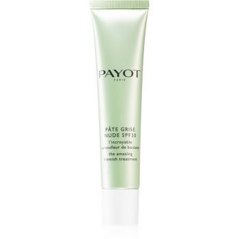 Payot Pâte Grise komplexní tónovaná péče proti nedokonalostem pleti SPF 30 40 ml