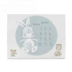 Ceba Podložka milníková na focení (92x72) Basic Friends