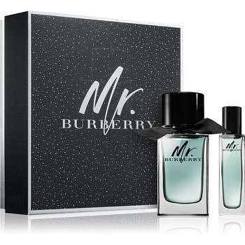 Burberry Mr. Burberry dárková sada V. toaletní voda 100 ml + toaletní voda 30 ml