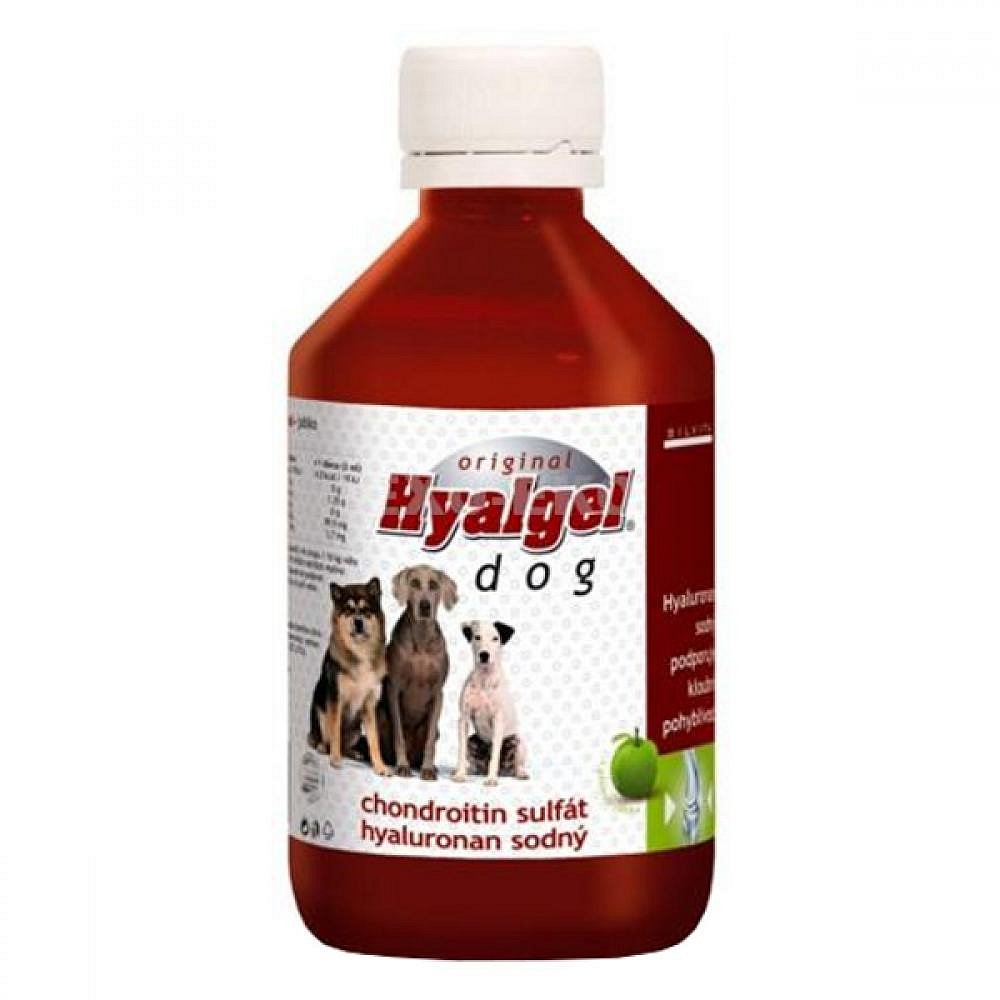 Hyalgel Dog Original jablko 500ml