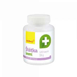 WOLFBERRY Štětka lesní 120 kapslí