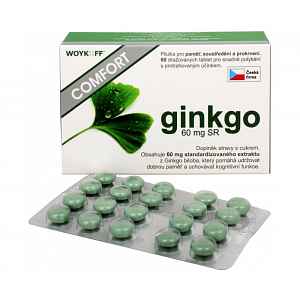 ginkgo COMFORT 60mg SR tbl. obd. 60