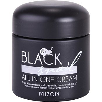Mizon Black Snail All in One pleťový krém s filtrátem hlemýždího sekretu 90% 75 ml