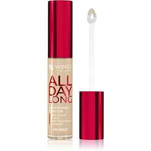 AA Wings of Color All Day Long Long Lasting Concealer tekutý korektor odstín 502 Beige 6.2 g