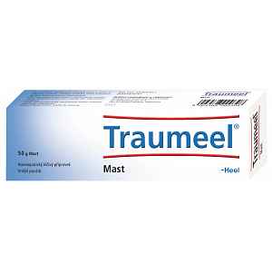 Traumeel S Heel mast 1 x 50 g (D)