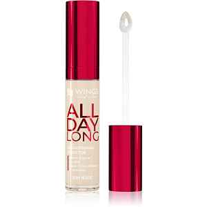 AA Wings of Color All Day Long Long Lasting Concealer tekutý korektor odstín 500 Ivory 6.2 g