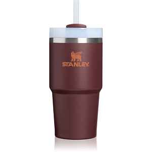 Stanley Quencher H2.O FlowState™ Tumbler nerezový tumbler s brčkem malý coffee 1 ks