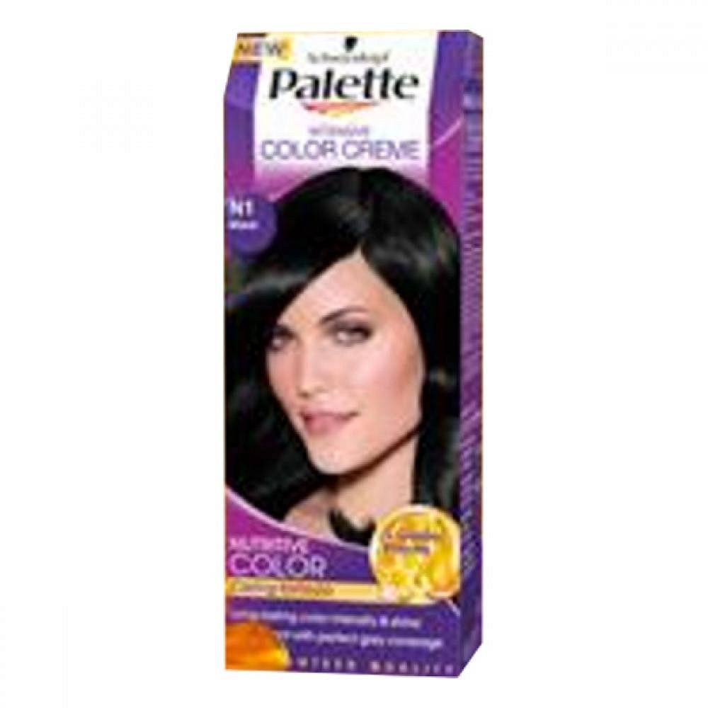 PALETTE icc n1 černá