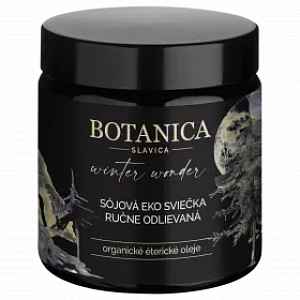 WINTER WONDER - ručně odlévaná sojová svíčka Toulky lesem