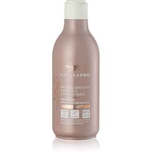Bottega Verde Zenzero posilující šampon na vlasy 250 ml