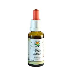 Salvia Paradise Hlíva ústřičná - tinktura 30ml