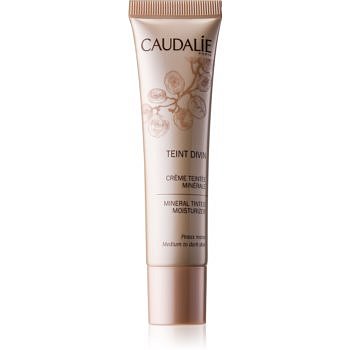 Caudalie Teint Divin minerální hydratační tónovací krém odstín Medium To Dark Skin 30 ml