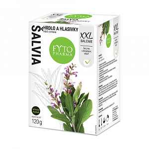 Fytopharma Šalvěj nať sypaná 120 g