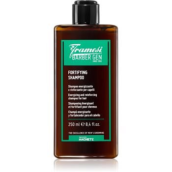 Framesi Barber Gen Fortifying posilující šampon pro slabé vlasy s tendencí vypadávat 250 ml
