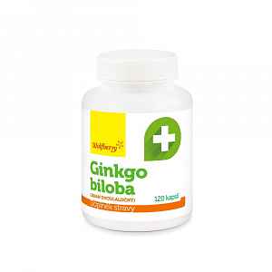 Wolfberry Ginkgo biloba 120 kapslí
