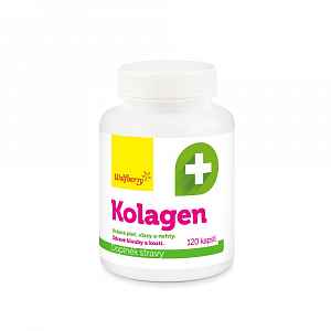 Wolfberry Kolagen 120 kapslí