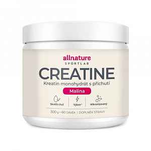 Allnature Sportlab Creatine monohydrát malina 300 g