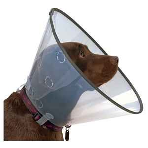 Kruuse Límec pro psy Clic Collar Comfort s gumou 12,5 cm, Velikost: XL