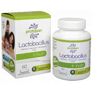 Protopan Lactobacillus + inulin tob.60