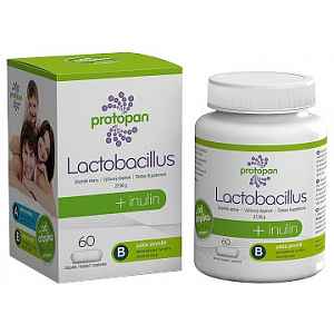 Protopan Lactobacillus + inulin tob.60