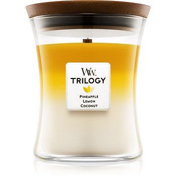 Woodwick Trilogy Fruits of Summer vonná svíčka 275 g střední