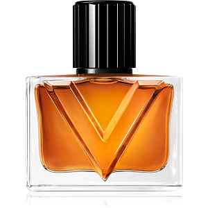 Valentino Vendetta Uomo parfémovaná voda pro muže 30 ml