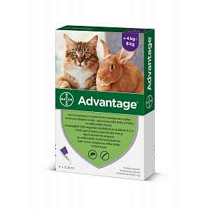 Advantage Spot-on pro velké kočky a králíky 80 mg 4x0,8 ml