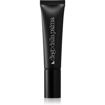 Diego dalla Palma Makeup Studio dlouhotrvající make-up SPF 20 odstín 209 30 ml