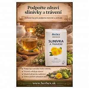HERBEX Slinivka a trávení 20x1,5 g