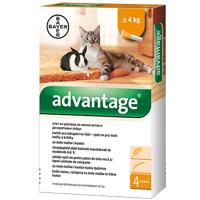 Advantage 40mg pro m.kočky+králíky spot-on 4x0.4ml