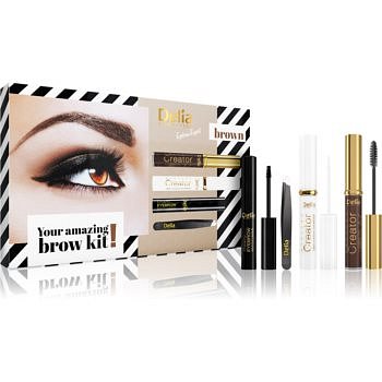 Delia Cosmetics Eyebrow Expert Brown kosmetická sada IV. (na obočí)