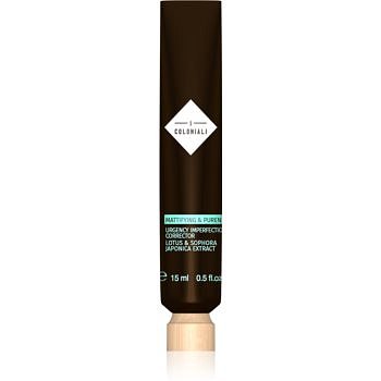 I Coloniali Mattifying & Pureness maska a korektor proti nedokonalostem pleti 15 ml