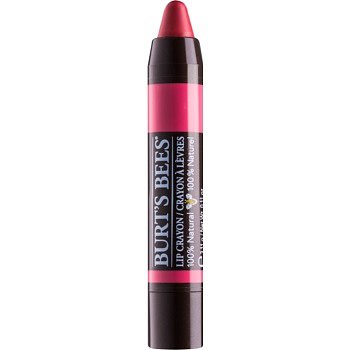 Burt’s Bees Lip Crayon rtěnka v tužce s matným efektem odstín 417 Niagara Overlook 3,1 g