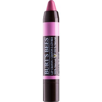 Burt’s Bees Lip Crayon rtěnka v tužce s matným efektem odstín 423 Carolina Coast 3,1 g