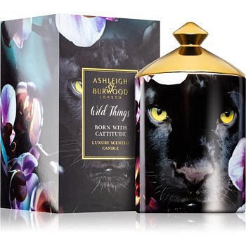 Ashleigh & Burwood London Wild Things Born With Cattitude vonná svíčka 700 g